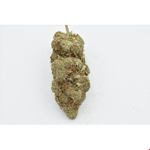 Sensi Star (Indica) - SALE 1 OZ $85